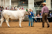 BeefShow- 2023-8836