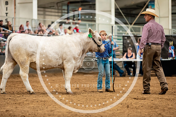 BeefShow- 2023-8836
