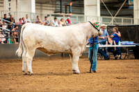BeefShow- 2023-8839