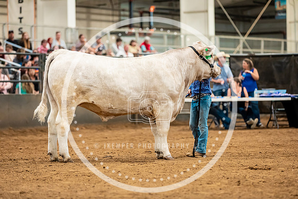 BeefShow- 2023-8839