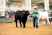 BeefShow- 2023-8840