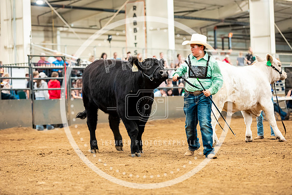 BeefShow- 2023-8840