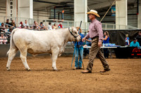 BeefShow- 2023-8838