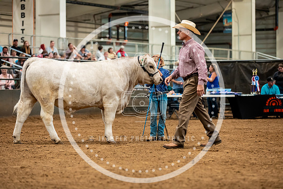 BeefShow- 2023-8838
