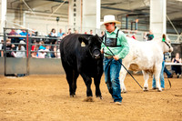 BeefShow- 2023-8841