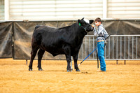 BeefShow- 2023-8843-Edit