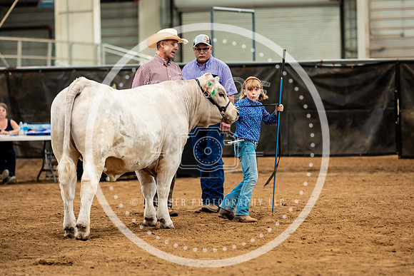 BeefShow- 2023-8846