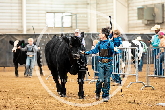 BeefShow- 2023-8850