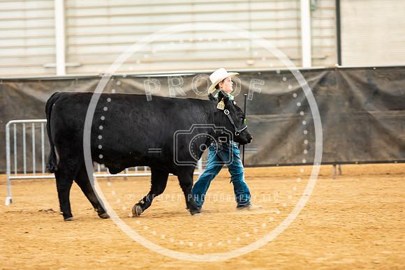 BeefShow- 2023-8848