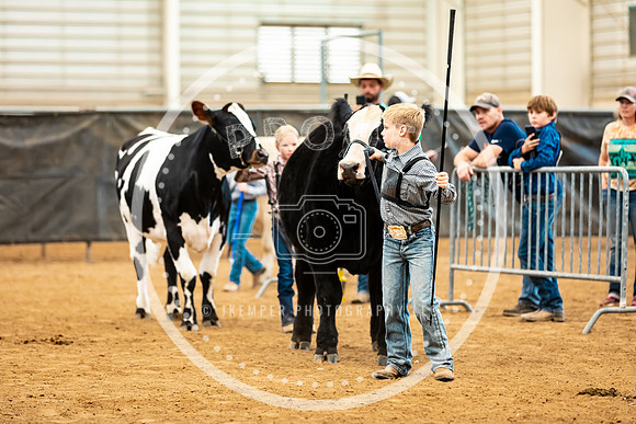 BeefShow- 2023-8852
