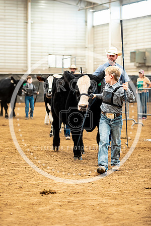 BeefShow- 2023-8856