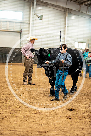 BeefShow- 2023-8861