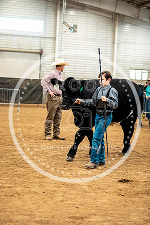 BeefShow- 2023-8862