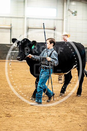 BeefShow- 2023-8864