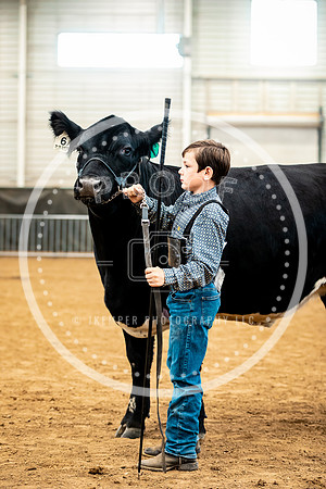 BeefShow- 2023-8865
