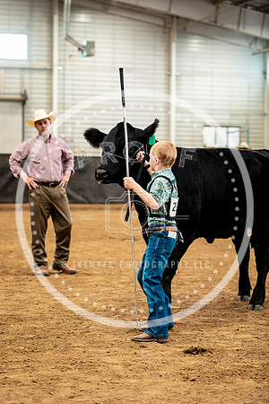 BeefShow- 2023-8868