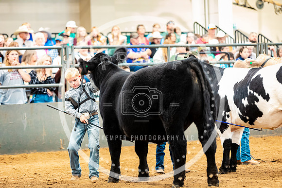 BeefShow- 2023-8873