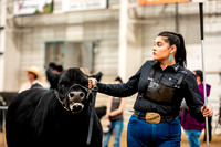 Beef Show