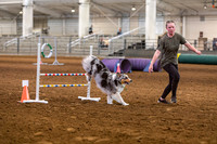 2024 4-H Dog Show AGILITY-15