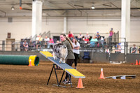 2024 4-H Dog Show AGILITY-19