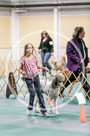2024 4-H Dog Show SATURDAY-7308
