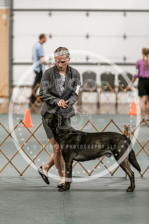 2024 4-H Dog Show SATURDAY-7245