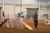 2024 4-H Dog Show AGILITY-13