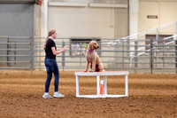 Sunday- AGILITY