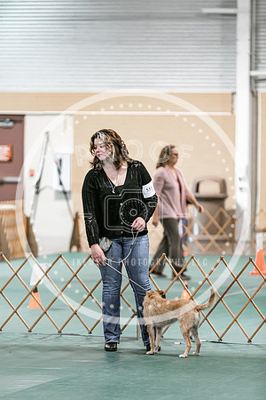 2024 4-H Dog Show SATURDAY-7289