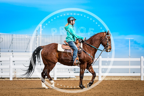 2025 4-H Horse-3055