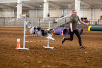 2024 4-H Dog Show AGILITY-14
