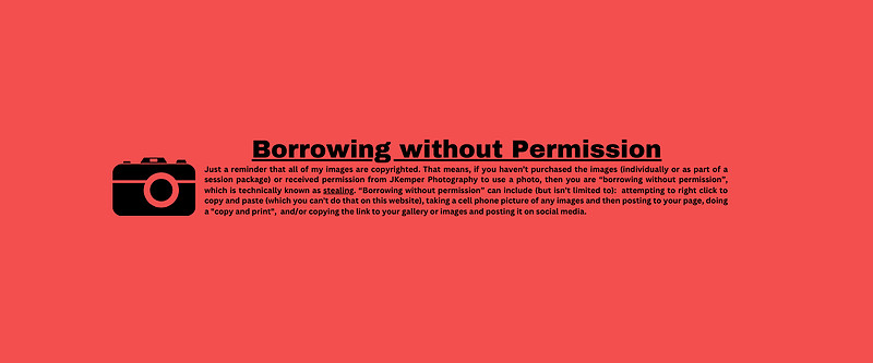 Red banner