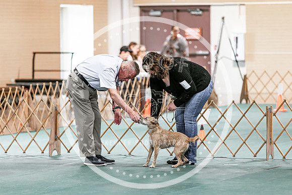2024 4-H Dog Show SATURDAY-7294