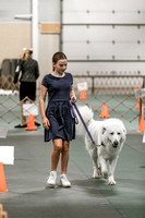 2024 4-H Dog Show SATURDAY-7270