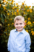 Sunflowers PRINT-6906