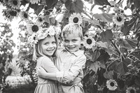 Sunflowers PRINT-6924-2