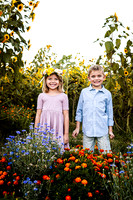Sunflowers- Kash and Kennedy