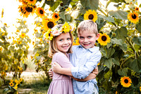 Sunflowers PRINT-6923