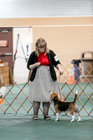 2024 4-H Dog Show SATURDAY-7259