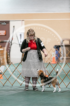 2024 4-H Dog Show SATURDAY-7259