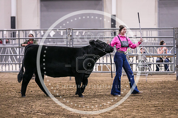 Beef Show-8459