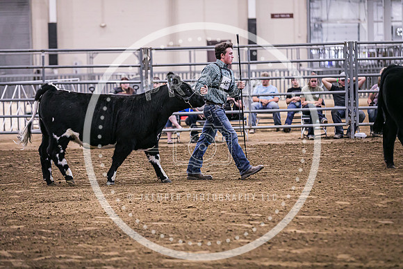 Beef Show-8461