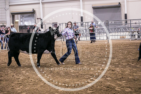 Beef Show-8463