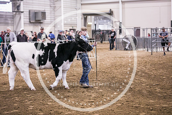 Beef Show-8464