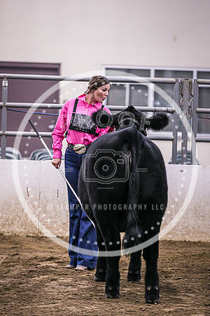 Beef Show-8470