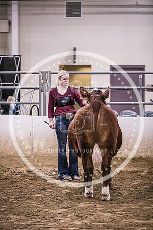 Beef Show-8469