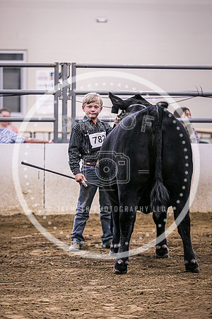 Beef Show-8471