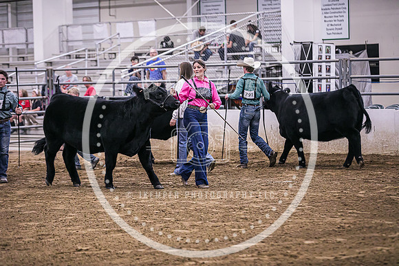 Beef Show-8472