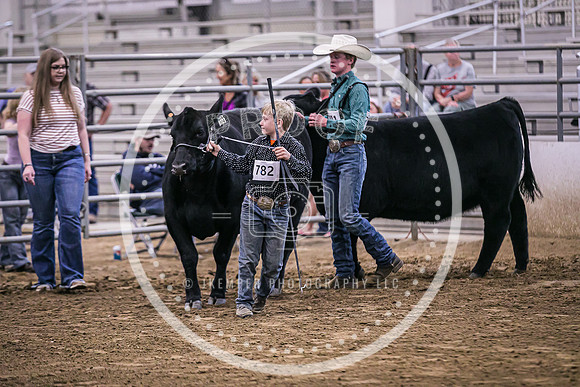 Beef Show-8474