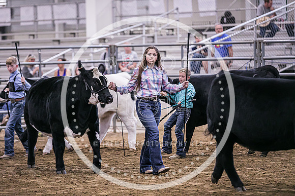 Beef Show-8476